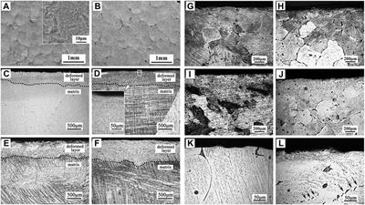 A review on magnesium alloys for biomedical applications